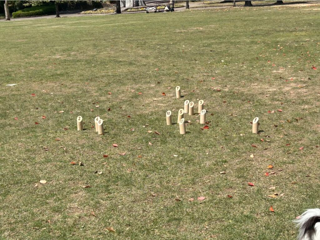 初モルックをしてきました