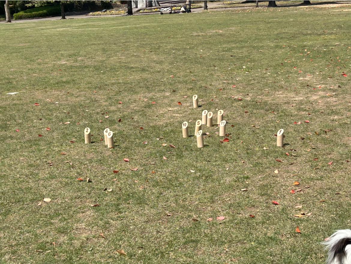 今日は初モルックしてきました